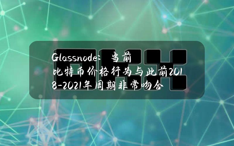 Glassnode：当前比特币价格行为与此前2018-2021年周期非常吻合