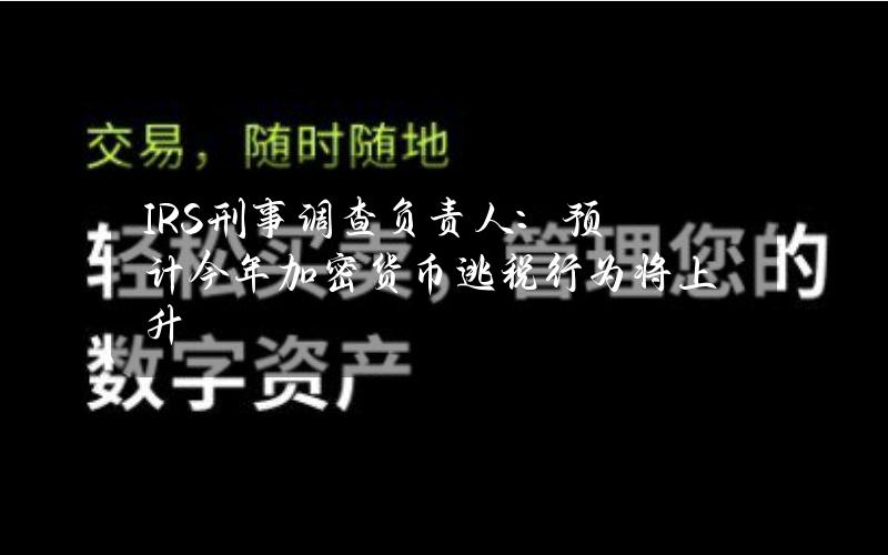 IRS刑事调查负责人：预计今年加密货币逃税行为将上升