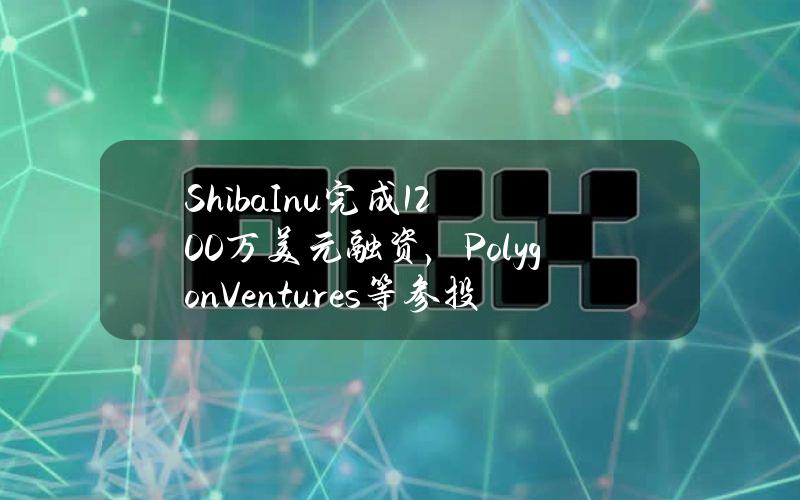 ShibaInu完成1200万美元融资，PolygonVentures等参投